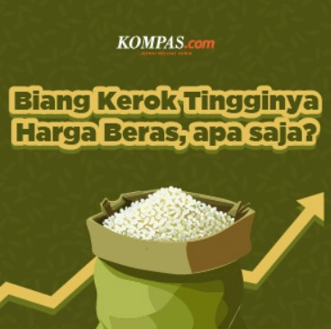 Biang Kerok Tingginya Harga Beras dari berbagai versi, apa saja?